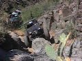 Bumblebee- near rollover