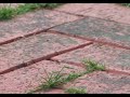 Flight of the Ants