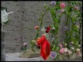 The Blossom Dance - Stop Motion