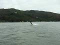 videos de Kiteboarding
