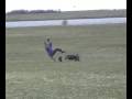 videos de Crash, Libre, Buggy, Emden, Knock