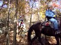 Gaited Horses In the Shawnee National Forest