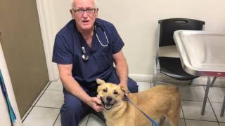Doc LaDue Loves Animal Rescue