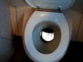 Euro Train Toilet