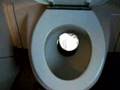 Euro Train Toilet
