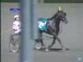 Somebeachsomewhere - Pepsi North America Cup 25