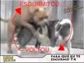 Fala que eu te esgurmo 74 parte 1.