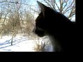 Khina Chatter