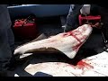 2004 Alaska Fishing Trip