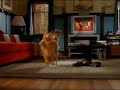 Garfield dancing now 1