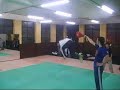 taekwondo cris 540 2