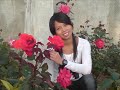 hakikat sebuah cinta hakikat sebuah cinta