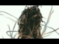 Chris Brown feat Lil' Wayne and Swizz Beatz - I Can Transform Ya