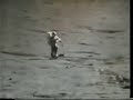 Bunny hopping on the Moon