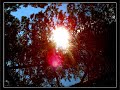 Lapland - Pello - Finland - Nature - Alva Noto