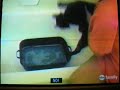 Poor Kitty
