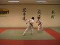 Martial arts, Jujutsu duo new