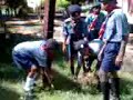 scout rally scout rally