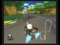 Mario Kart Wii  Wi-Fi Races 28
