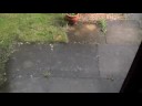 Cloudburst Cloudburst