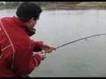 Battle Royal with a American River Steelhead