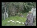 videos de Indiana Jones parody