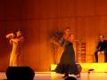 videos de Flamenco Salamanca (parte 4)