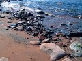 Tornio River Rapids