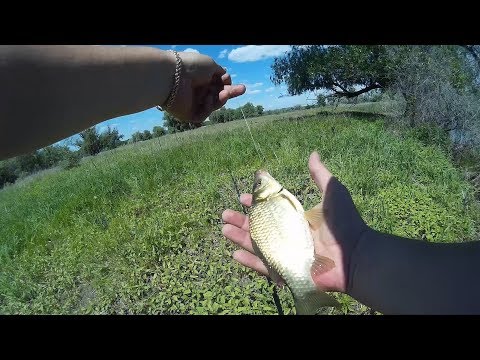 Видео Ловля карася Видео Ловля карася