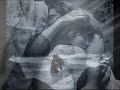 GREGO- VUELA QUE VUELA