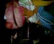 Andinay Live 08