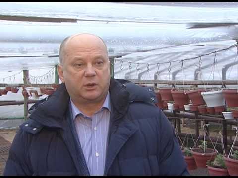 Просмотр видео