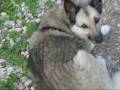 videos de Udi 005