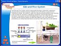 Hydroponics Systems Hydroponics Systems