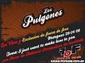 Los Pulgones en vivo - Fuera de foco - www.fdfweb.com.ar