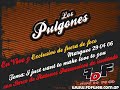 Los Pulgones en vivo - Fuera de foco - www.fdfweb.com.ar
