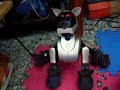 AIBO ERS-210 Gold sit behind For sell 12/17 06