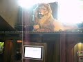 Beesley roars at the Calgary Zoo