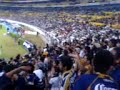 copando a las zorras (san luis)