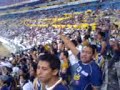copando a las zorras (san luis)