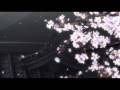 [POPGO][Basilisk][DVDRip][X264_AAC]NCED2(71533b54).mkv