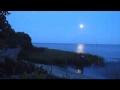 Rose Moon Stroll with Annie Lennox