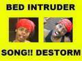 Bed Intruder Song! | DeStorm - Cover