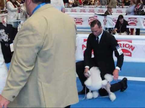 video allevamento tres jolie