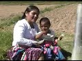 milagro   jimawa   celosa