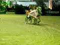 Pferdemesse 2006