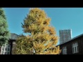 Click here to watch this video 第34回旅行地理検定の風景 立教大学(東京会場) 2011/12/04