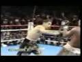 videos de Antonio Margarito Vs Sugar Shane Mosley Countdown!!!