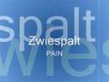 Pain - Zwiespalt (Recording @ E to the A)