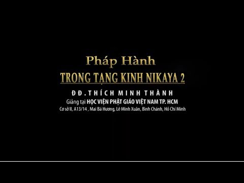 Kinh NIKAYA Giảng Giải - Pháp Hành Trong Tạng Kinh NIKAYA 2